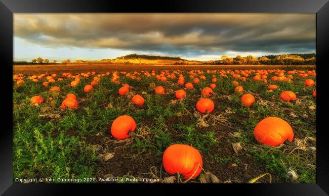 Cotswold Pumpkins Framed Print by John Cummings