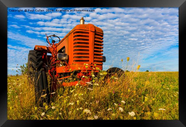 Bright Red Tractor Framed Print by Paul Cullen