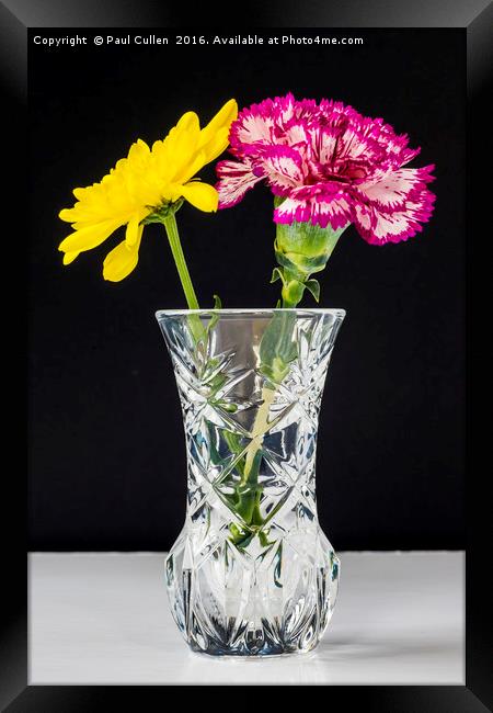 Chrysanthemums and Carnation in a lead crysal vase Framed Print by Paul Cullen