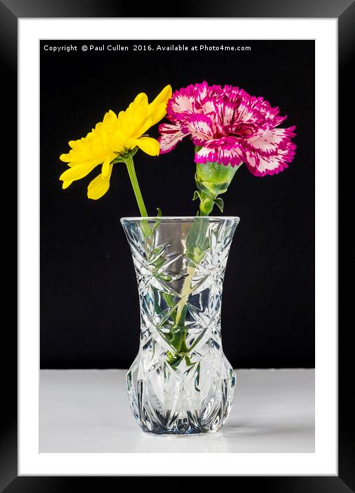 Chrysanthemums and Carnation in a lead crysal vase Framed Mounted Print by Paul Cullen