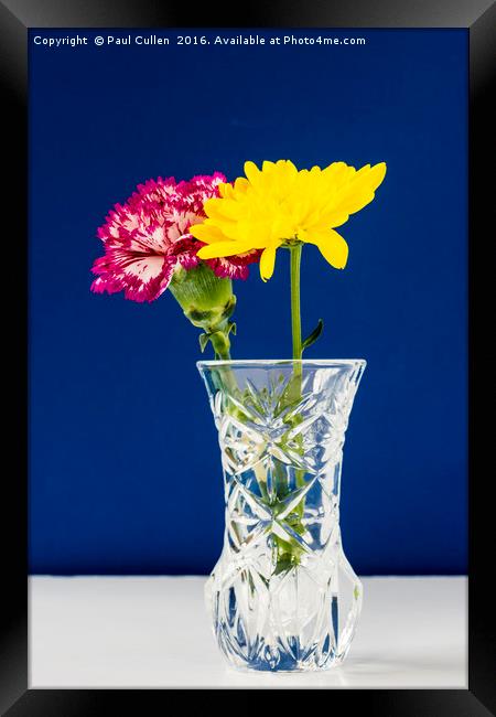 Chrysanthemums and Carnation in a lead crysal vase Framed Print by Paul Cullen