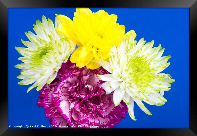 Carnation and Chrysanthemums Framed Print by Paul Cullen