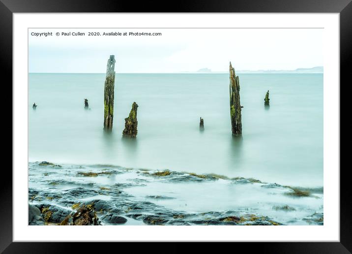 Old Posts with Bamburgh Castle in the distance Framed Mounted Print by Paul Cullen