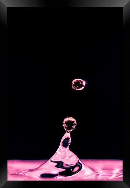 Pink Water Drop Framed Print by Mick Sadler ARPS
