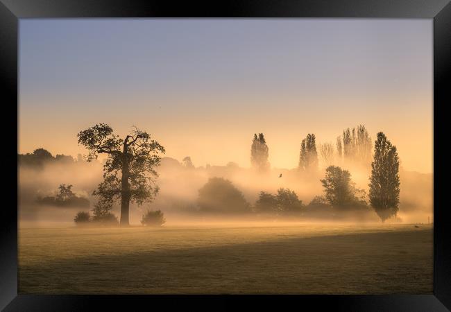 Misty Morning Framed Print by Mick Sadler ARPS