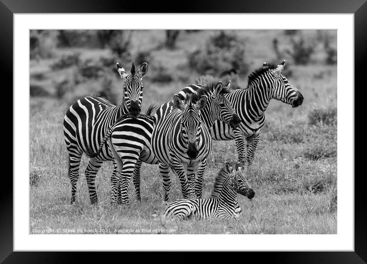 Zebra Family Framed Mounted Print by Steve de Roeck