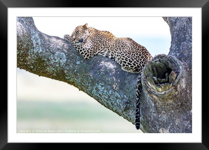 Slumbering Leopard Framed Mounted Print by Steve de Roeck