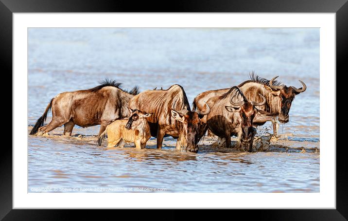 Wildebeest Take A Moment To Relax With Their Baby. Framed Mounted Print by Steve de Roeck