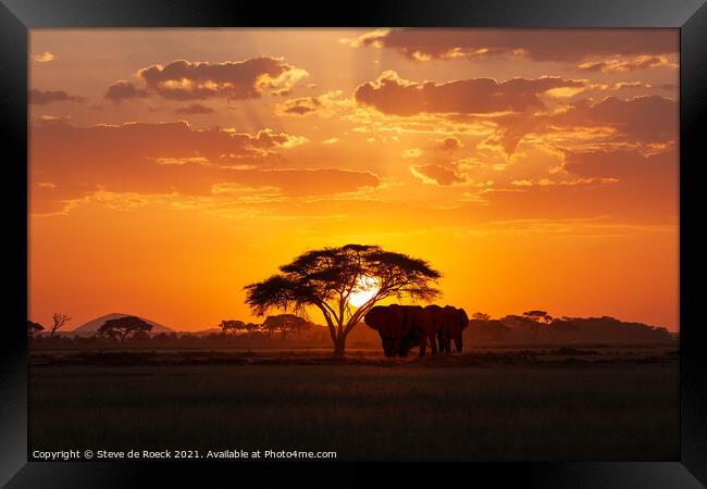 Elephants At Sunset Framed Print by Steve de Roeck