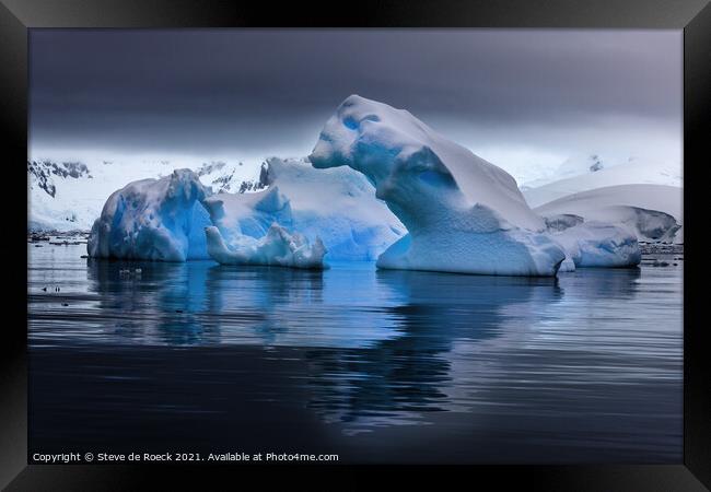 Glacial Bear Framed Print by Steve de Roeck