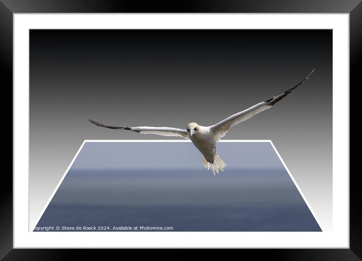 Gannet Flies Free Framed Mounted Print by Steve de Roeck