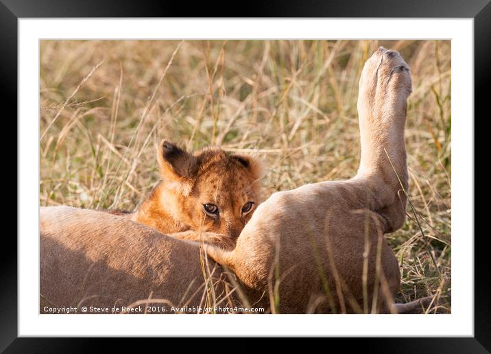 Dinner Time Framed Mounted Print by Steve de Roeck