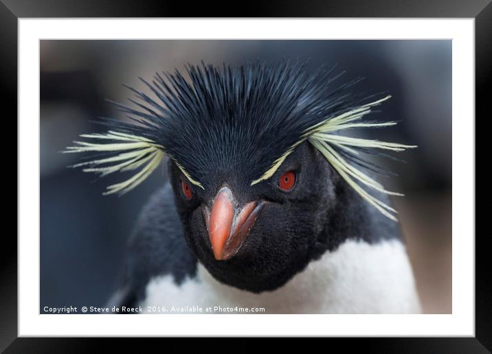 Punk Penguin Framed Mounted Print by Steve de Roeck