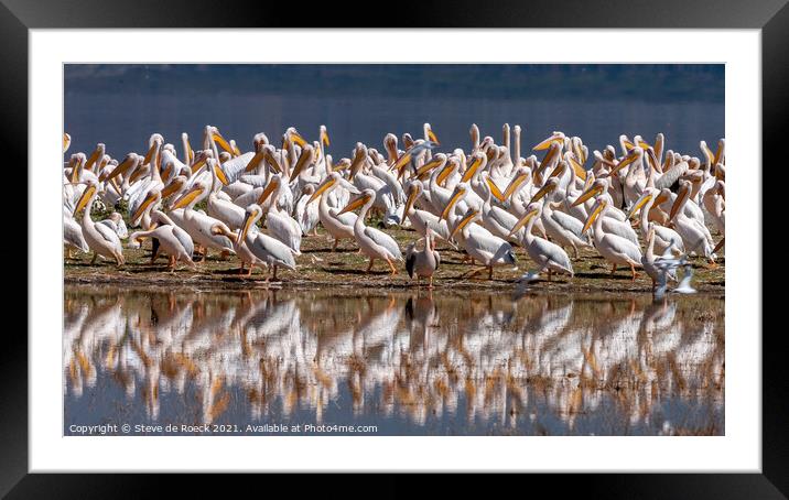 Pelican Colony On A Sand Bar Framed Mounted Print by Steve de Roeck