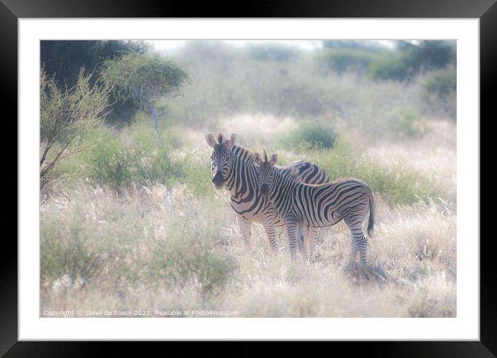 Mother and Baby Plains Zebra Framed Mounted Print by Steve de Roeck