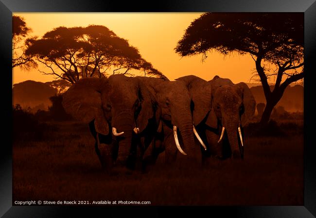Elephants At Sunset Framed Print by Steve de Roeck