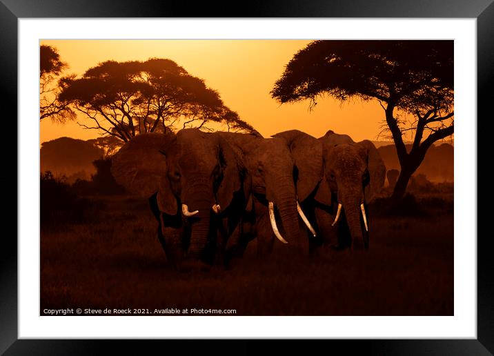 Elephants At Sunset Framed Mounted Print by Steve de Roeck