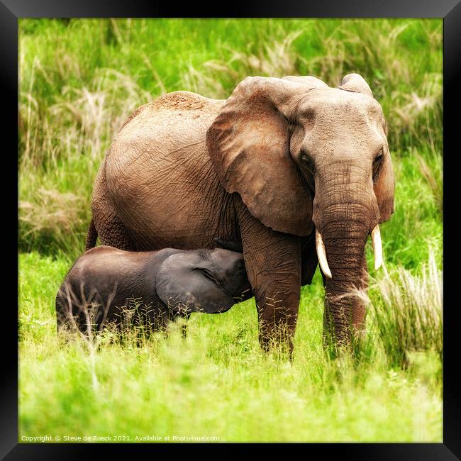 Elephant Mother And Baby Framed Print by Steve de Roeck