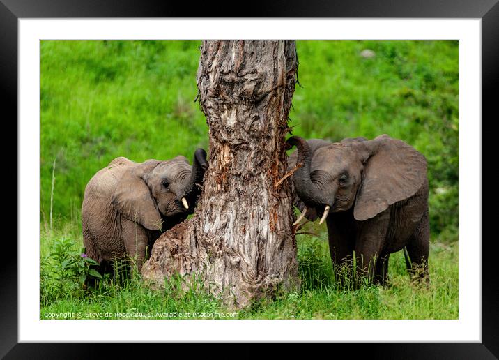 Baby Elephants At Their Favourite Scratching Post Framed Mounted Print by Steve de Roeck