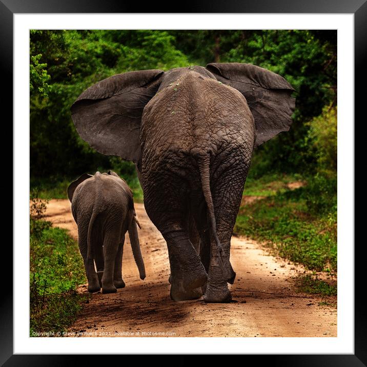 No More Pictures, Thank You; Mother And Baby Elephant Depart Framed Mounted Print by Steve de Roeck