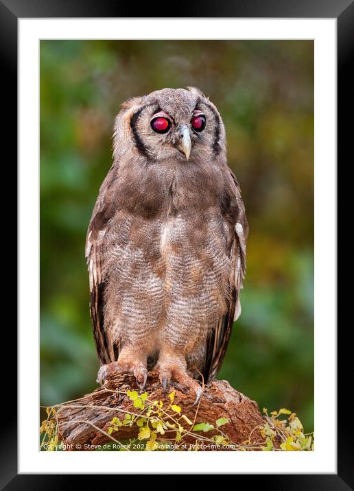 Verreauxs eagle owl Framed Mounted Print by Steve de Roeck