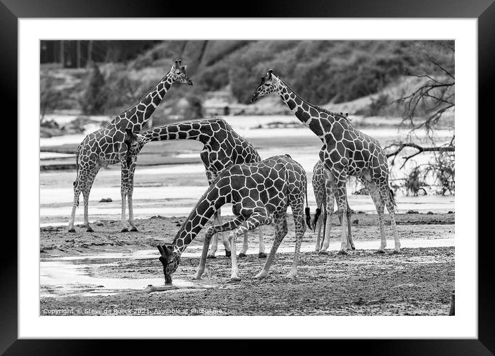 Reticulated Giraffe Black & White Framed Mounted Print by Steve de Roeck