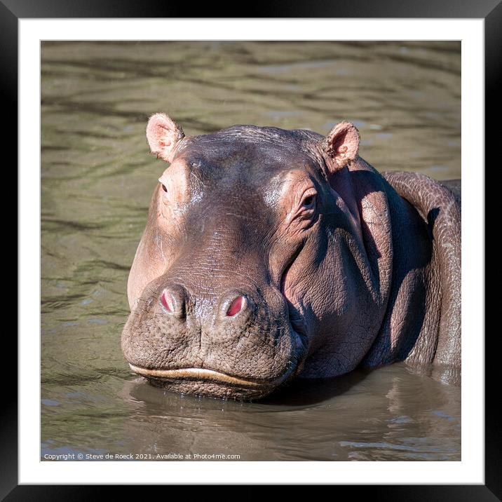 Happy Hippo Framed Mounted Print by Steve de Roeck