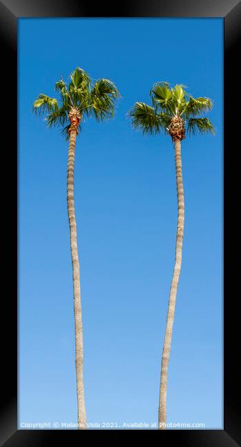 Idyllic Palm trees | upright panoramic view Framed Print by Melanie Viola