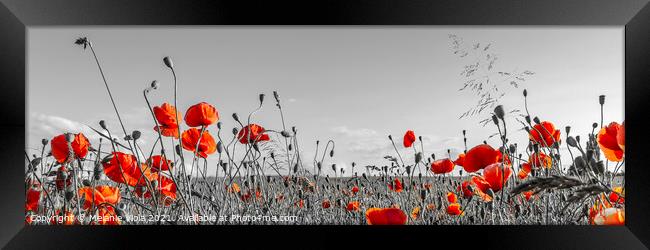 Lovely Poppy Field | panoramic view Framed Print by Melanie Viola