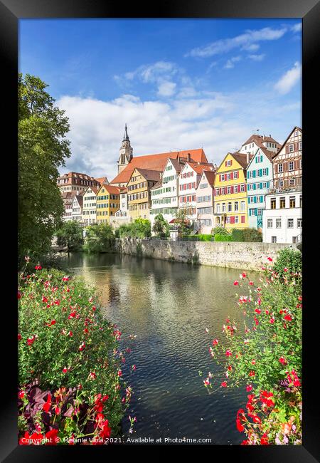 GERMANY Picturesque Tuebingen Neckar Front Framed Print by Melanie Viola