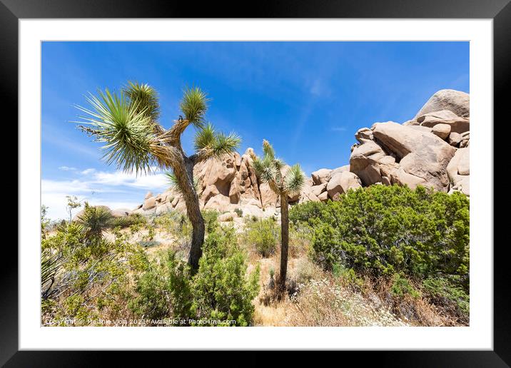 Idyllic desert scenery - Joshua Tree National Park Framed Mounted Print by Melanie Viola