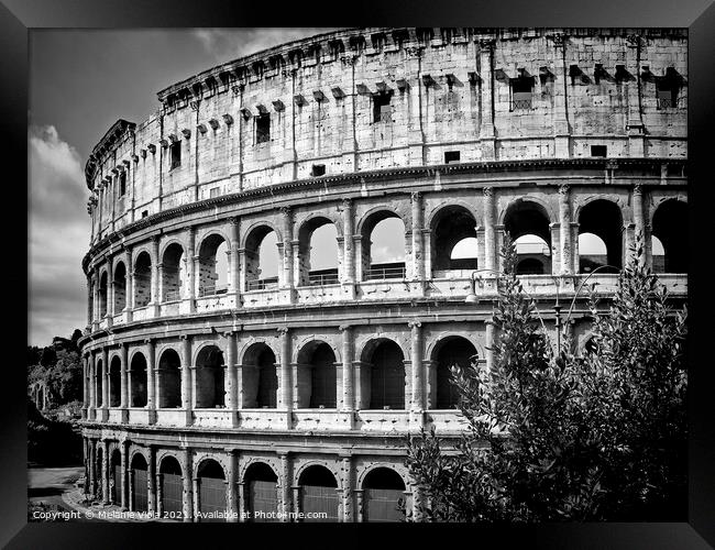 ROME Colosseum Framed Print by Melanie Viola