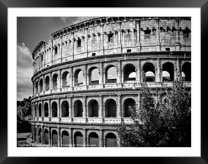 ROME Colosseum Framed Mounted Print by Melanie Viola