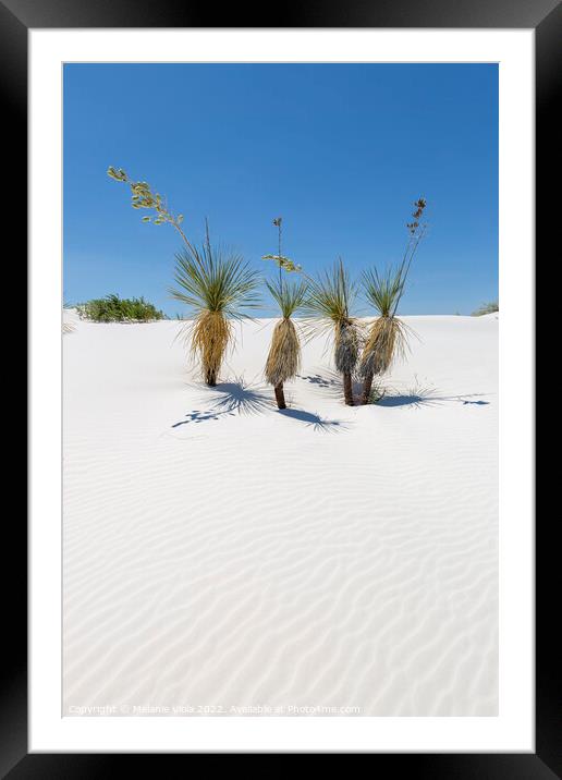 Wave pattern of dunes & Yucca, White Sands National Monument  Framed Mounted Print by Melanie Viola