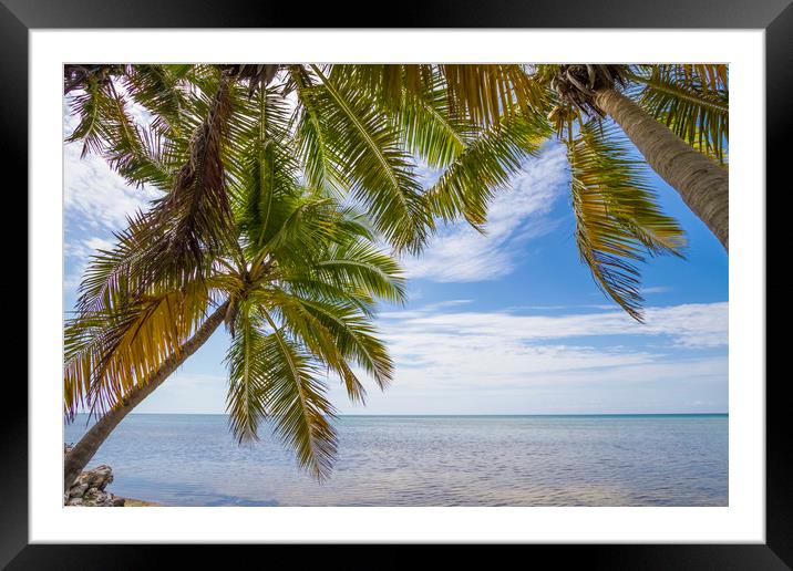 FLORIDA KEYS Palm Trees Framed Mounted Print by Melanie Viola