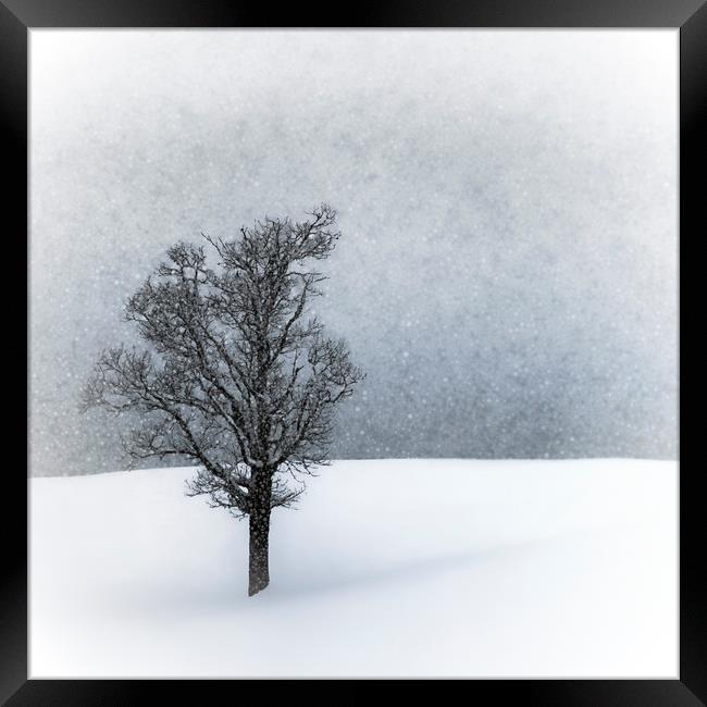 LONELY TREE Idyllic Winterlandscape Framed Print by Melanie Viola