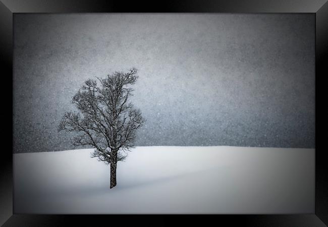 LONELY TREE Idyllic Winterlandscape Framed Print by Melanie Viola