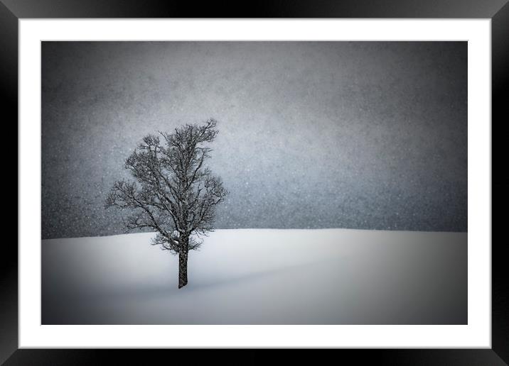 LONELY TREE Idyllic Winterlandscape Framed Mounted Print by Melanie Viola