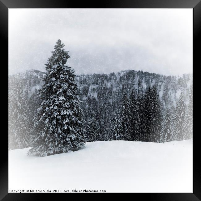 GERMANY Bavarian Winter's Tale IV Framed Print by Melanie Viola