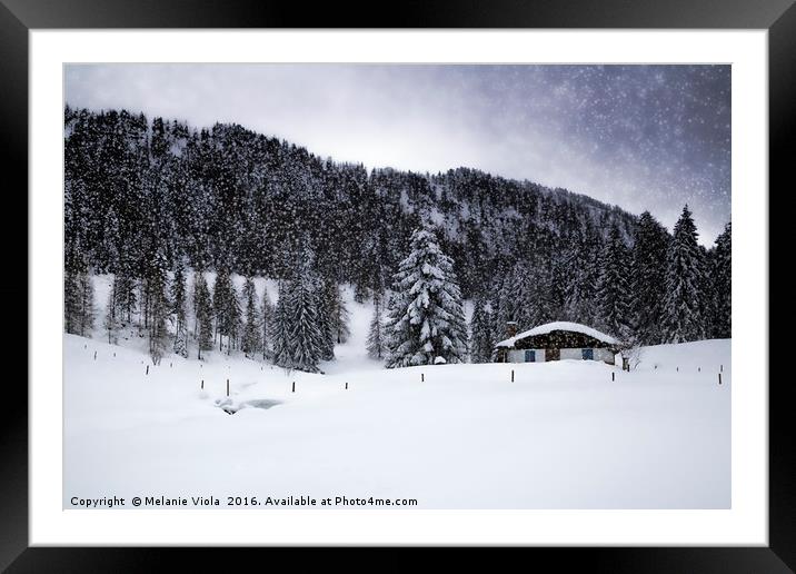 Lovely winter landscape in snow flurry  Framed Mounted Print by Melanie Viola