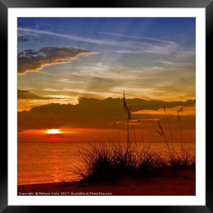 Gorgeous Sunset Framed Mounted Print by Melanie Viola