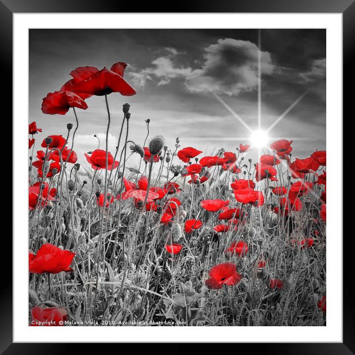 Idyllic Field of Poppies with Sun  Framed Mounted Print by Melanie Viola
