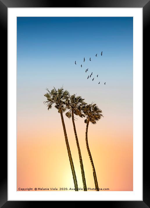 Palm trees & sunset Framed Mounted Print by Melanie Viola