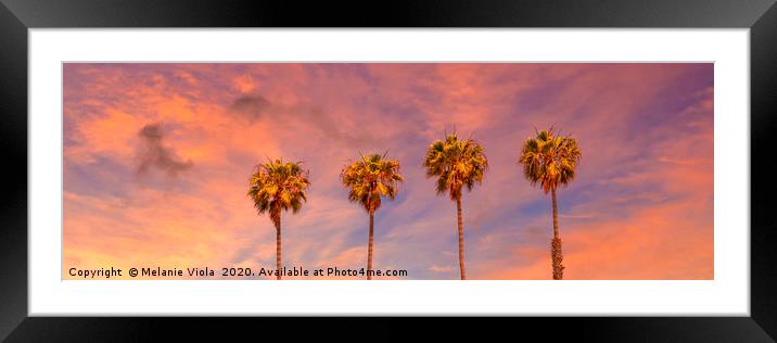 Palm trees sunset | panoramic view Framed Mounted Print by Melanie Viola