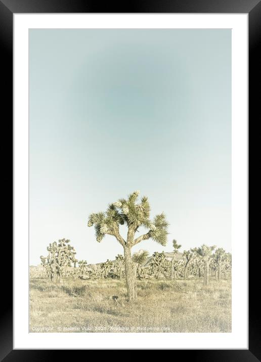 Joshua Tree | Vintage Framed Mounted Print by Melanie Viola