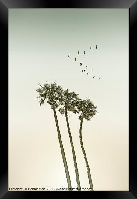 Vintage palm trees at sunset Framed Print by Melanie Viola