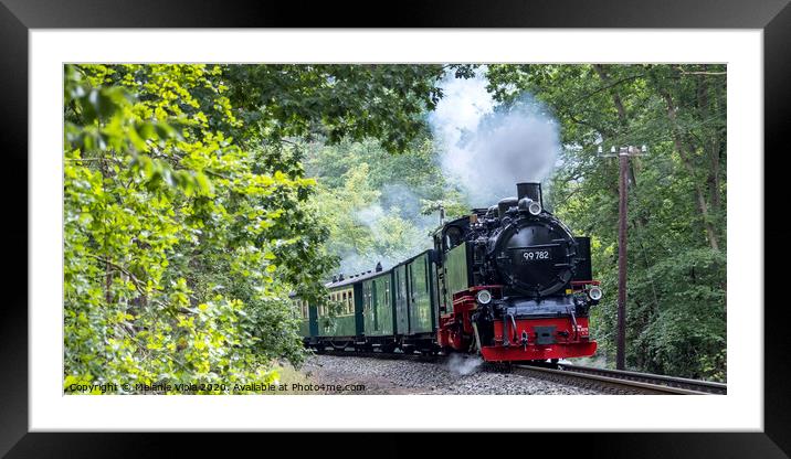Steam locomotive narrow-gauge railroad Framed Mounted Print by Melanie Viola