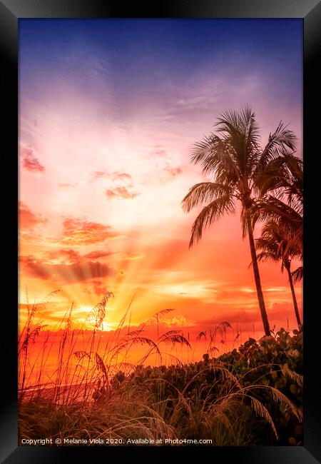 BONITA BEACH Picturesque Sunset Framed Print by Melanie Viola