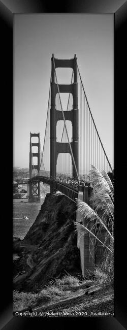 Golden Gate Bridge | Panorama Framed Print by Melanie Viola