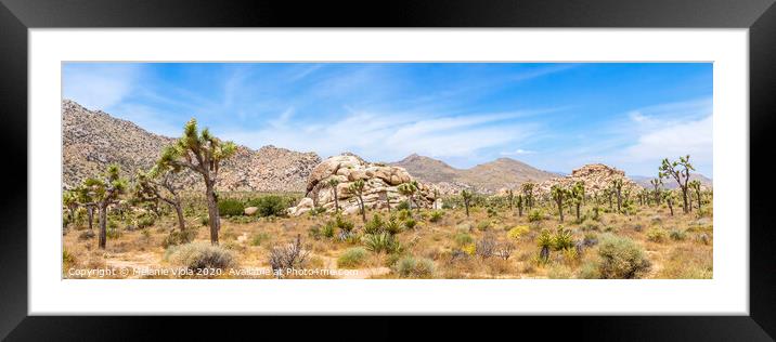 Joshua Tree National Park Panorama Framed Mounted Print by Melanie Viola